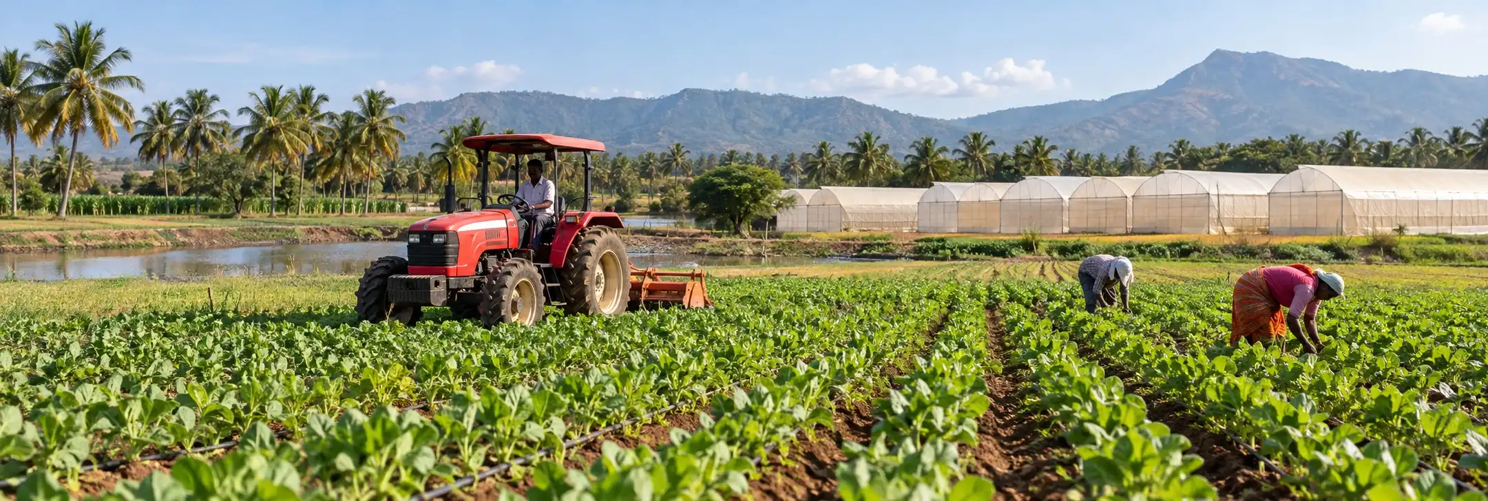 Agriculture and Agri-Business Council