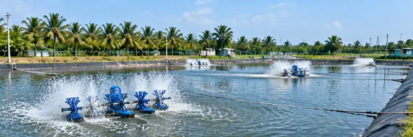 Aquaculture