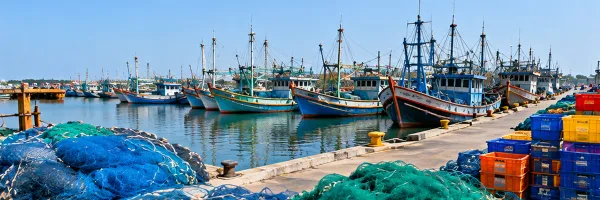 Fisheries Infrastructure