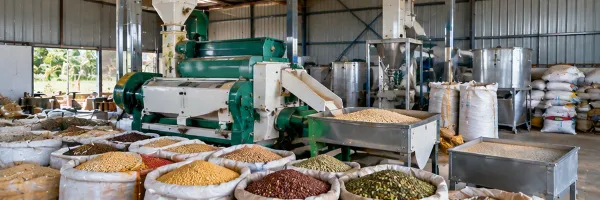 Agro Processing Value Addition
